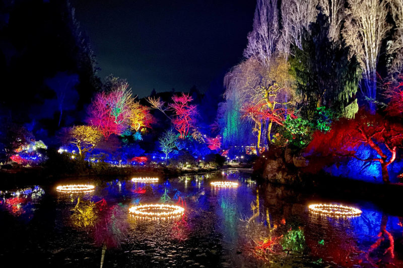 Photo gallery: Butchart Gardens shine bright for Christmas: Photo