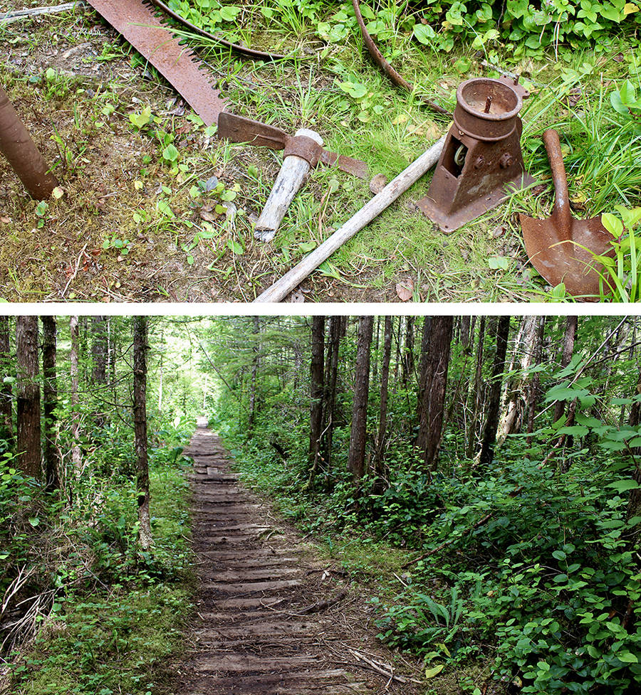 A Hiker s Guide to Cape Scott Trail West Coast Traveller
