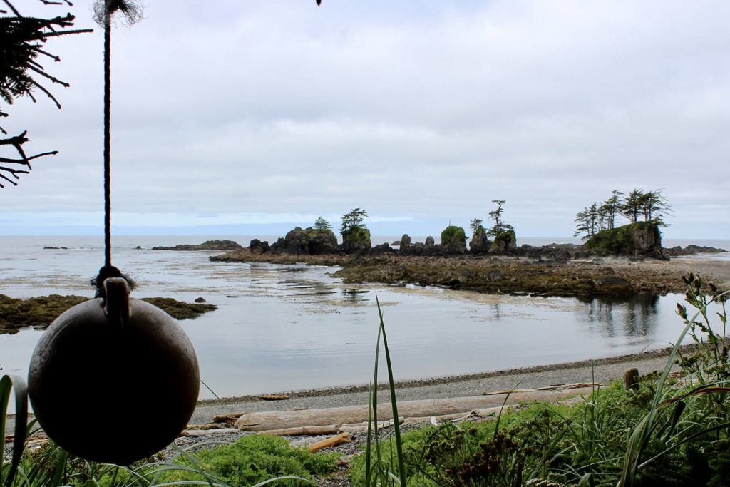 A Hiker s Guide to Cape Scott Trail West Coast Traveller