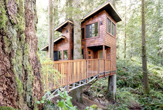 Vancouver Island treetop retreat tops Airbnb list of Canada’s best new hosts