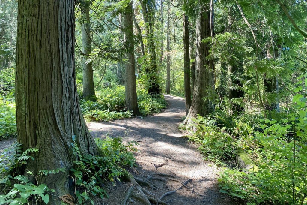 Hike like a local: Victoria hikers share their top 3 destinations