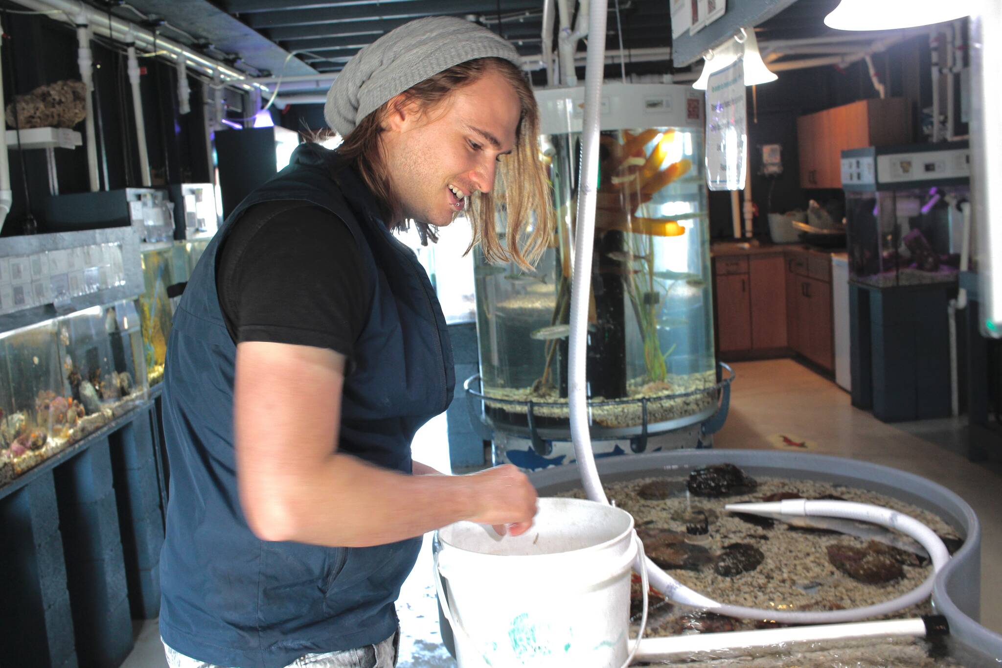 Campbell River’s Discovery Passage Aquarium sends sea creatures back to ...