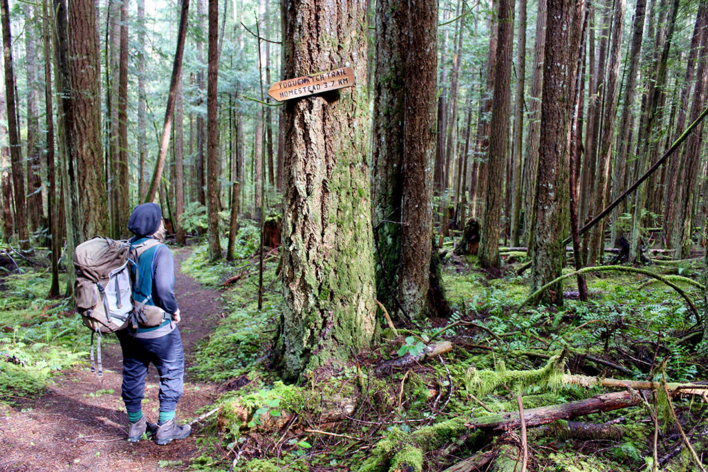 What to bring on a hike: WCT Travel Guide