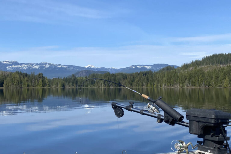 Kokanee Fisheries on Vancouver Island West Coast Traveller