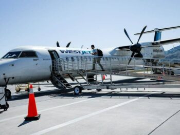 can dogs travel on bc ferries