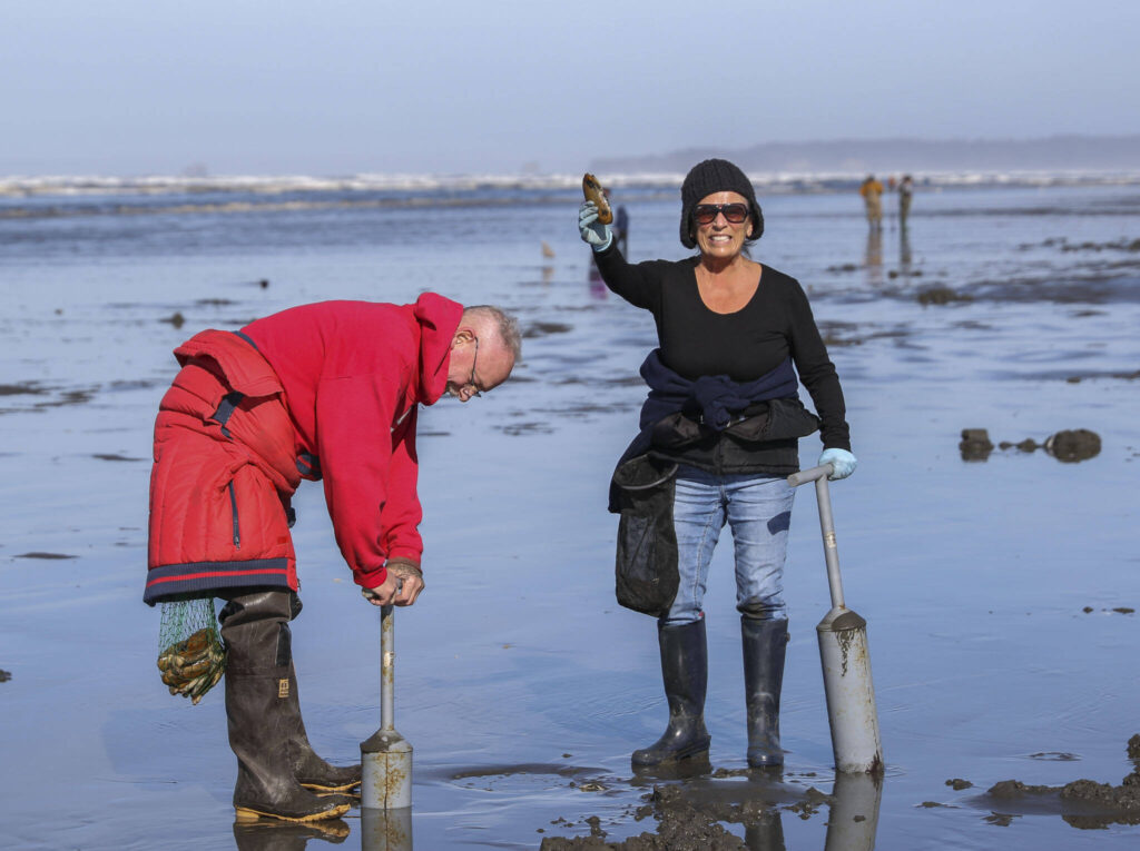 Washington roadtrip to Moclips razor clam digging with fries and